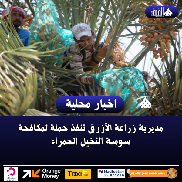 مديرية زراعة الأزرق تنفذ حملة لمكافحة سوسة النخيل الحمراء