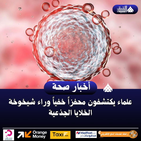 علماء يكتشفون محفزاً خفياً وراء شيخوخة الخلايا الجذعية