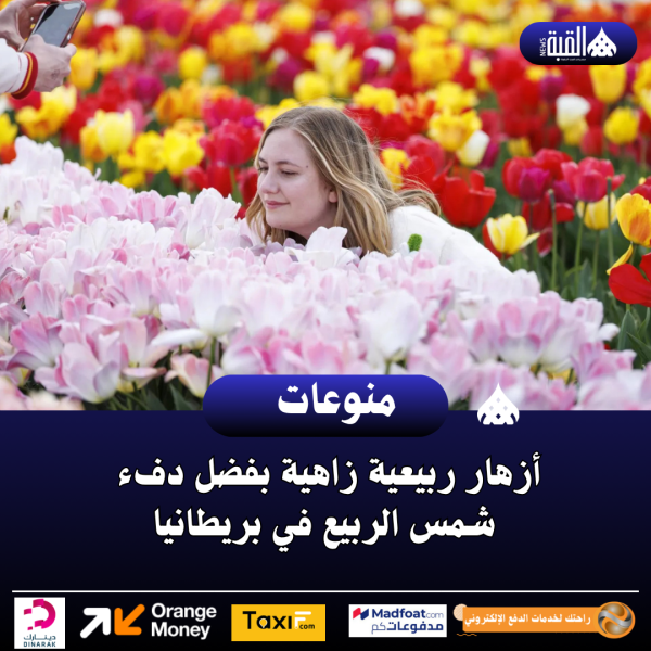 أزهار ربيعية زاهية بفضل دفء شمس الربيع في بريطانيا