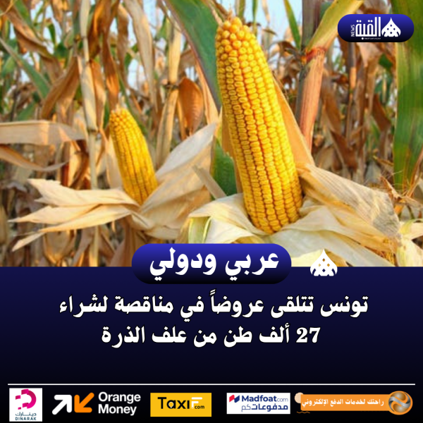 تونس تتلقى عروضاً في مناقصة لشراء 27 ألف طن من علف الذرة