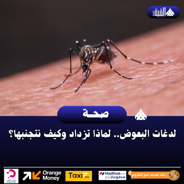 لدغات البعوض.. لماذا تزداد وكيف يمكن الحد منها؟