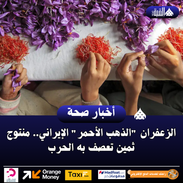 الزعفران الذهب الأحمر الإيراني.. منتوج ثمين تعصف به الحرب