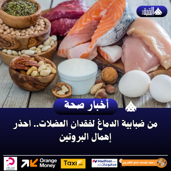 من ضبابية الدماغ لفقدان العضلات.. احذر إهمال البروتين