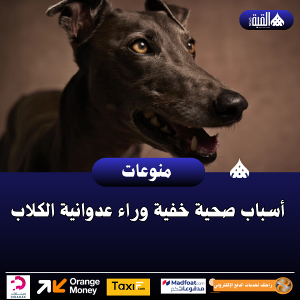 أسباب صحية خفية وراء عدوانية الكلاب