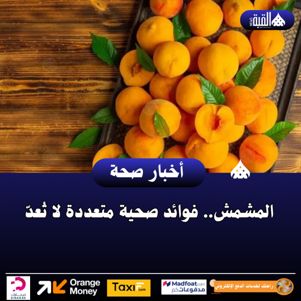 المشمش.. فوائد صحية متعددة لا تُعدّ