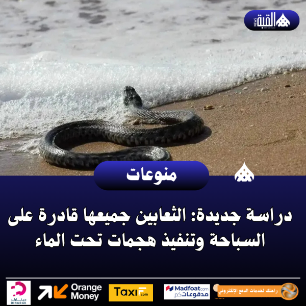 دراسة جديدة: الثعابين جميعها قادرة على السباحة وتنفيذ هجمات تحت الماء