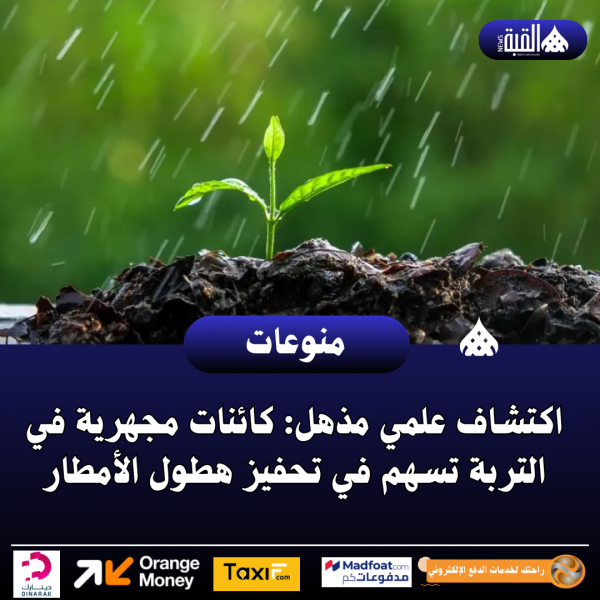 اكتشاف علمي مذهل: كائنات مجهرية في التربة تسهم في تحفيز هطول الأمطار