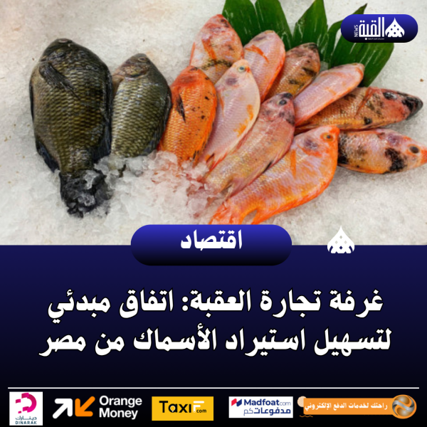 غرفة تجارة العقبة: اتفاق مبدئي لتسهيل استيراد الأسماك من مصر