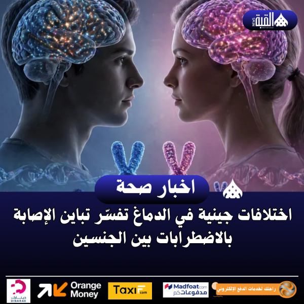 اختلافات جينية في الدماغ تفسّر تباين الإصابة بالاضطرابات بين الجنسين