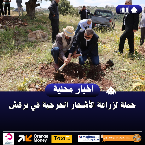 حملة لزراعة الأشجار الحرجية في برقش