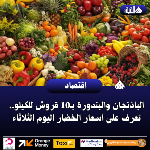 الباذنجان والبندورة بـ10 قروش للكيلو.. تعرف على أسعار الخضار اليوم الثلاثاء