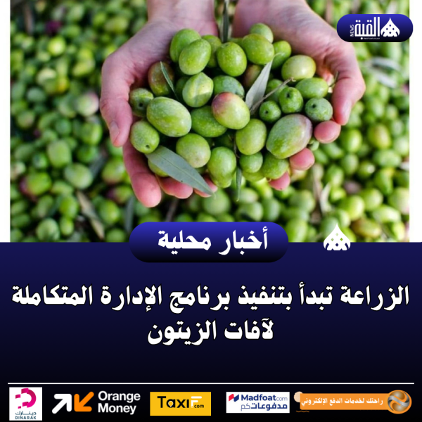 الزراعة تبدأ بتنفيذ برنامج الإدارة المتكاملة لآفات الزيتون