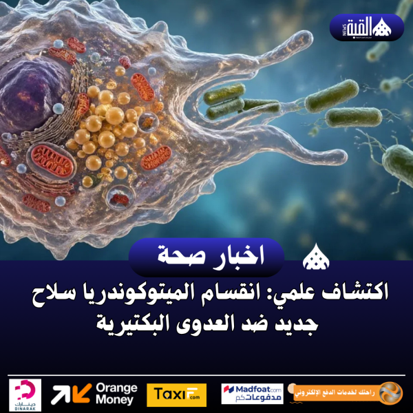 اكتشاف علمي: انقسام الميتوكوندريا سلاح جديد ضد العدوى البكتيرية