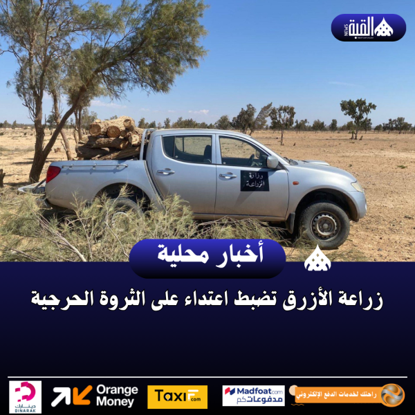 زراعة الأزرق تضبط اعتداء على الثروة الحرجية