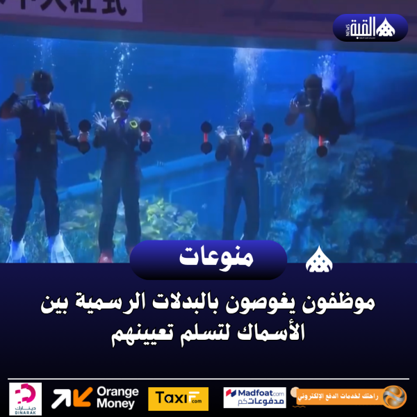 موظفون يغوصون بالبدلات الرسمية بين الأسماك لتسلم تعيينهم