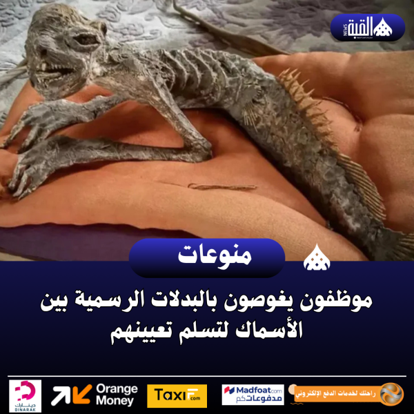 هل اكتشفت اليابان حورية البحر؟ مومياء غريبة تثير الجدل وتعيد أسطورة الكابا للواجهة