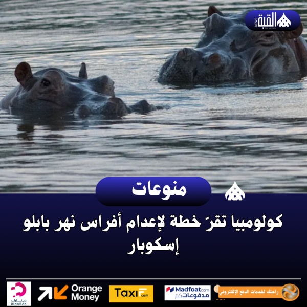 كولومبيا تقرّ خطة لإعدام أفراس نهر بابلو إسكوبار