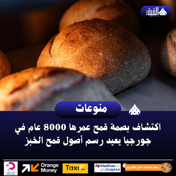 اكتشاف بصمة قمح عمرها 8000 عام في جورجيا يعيد رسم أصول قمح الخبز