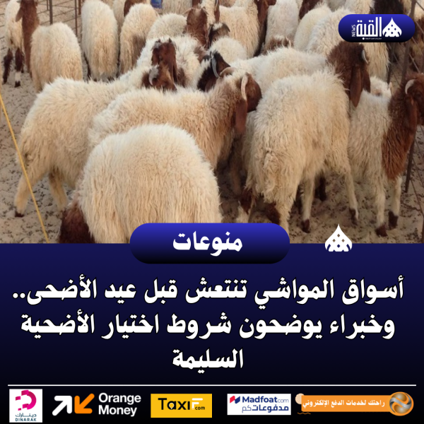 أسواق المواشي تنتعش قبل عيد الأضحى.. وخبراء يوضحون شروط اختيار الأضحية السليمة