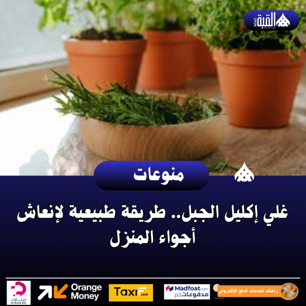 غلي إكليل الجبل.. طريقة طبيعية لإنعاش أجواء المنزل