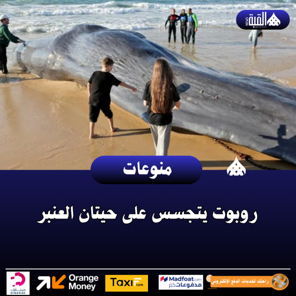 روبوت يتجسس على حيتان العنبر