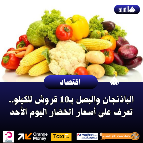الباذنجان والبصل بـ10 قروش للكيلو.. تعرف على أسعار الخضار اليوم الأحد