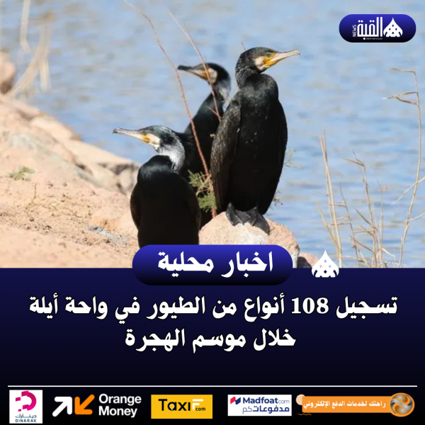 تسجيل 108 أنواع من الطيور في واحة أيلة خلال موسم الهجرة