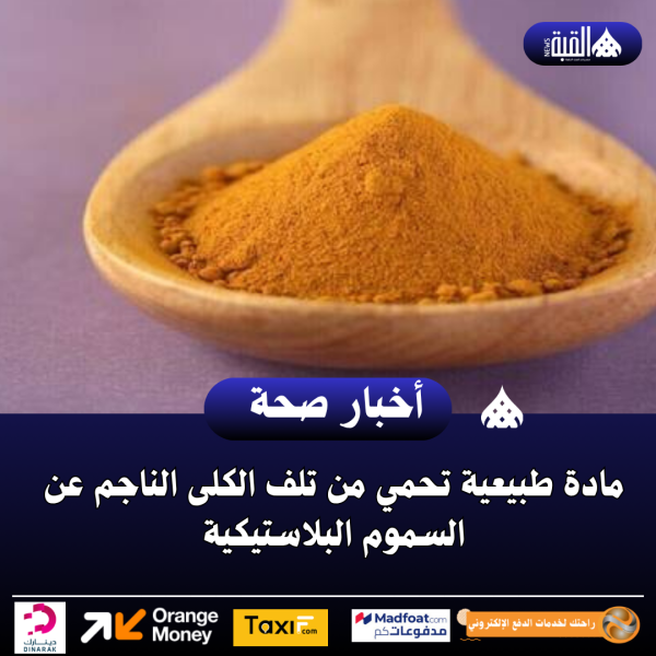 مادة طبيعية تحمي من تلف الكلى الناجم عن السموم البلاستيكية