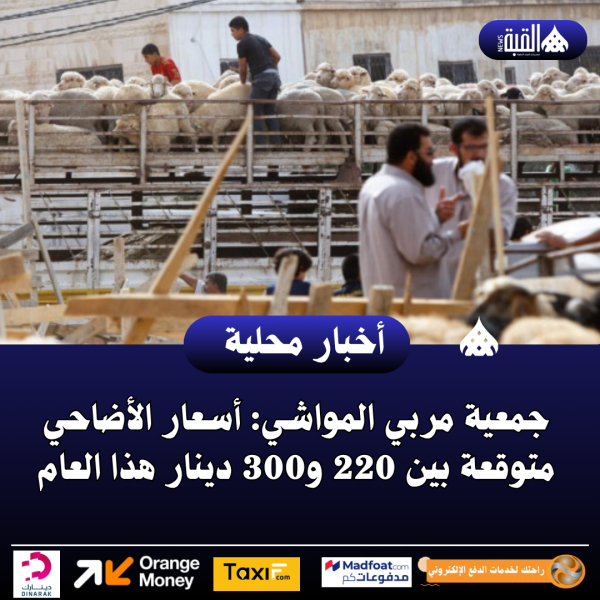 جمعية مربي المواشي: أسعار الأضاحي متوقعة بين 220 و300 دينار هذا العام