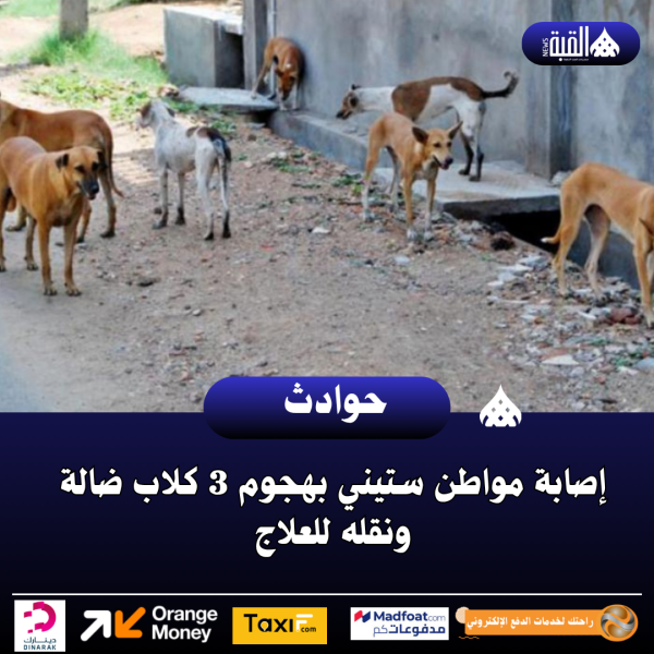 إصابة مواطن ستيني بهجوم 3 كلاب ضالة ونقله للعلاج