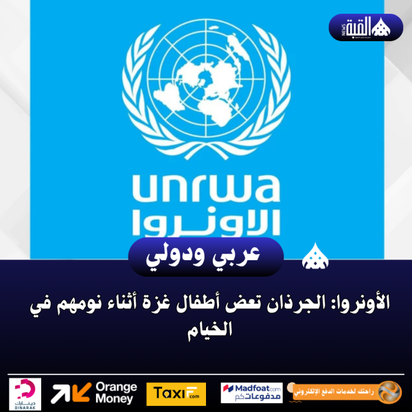 الأونروا: الجرذان تعض أطفال غزة أثناء نومهم في الخيام