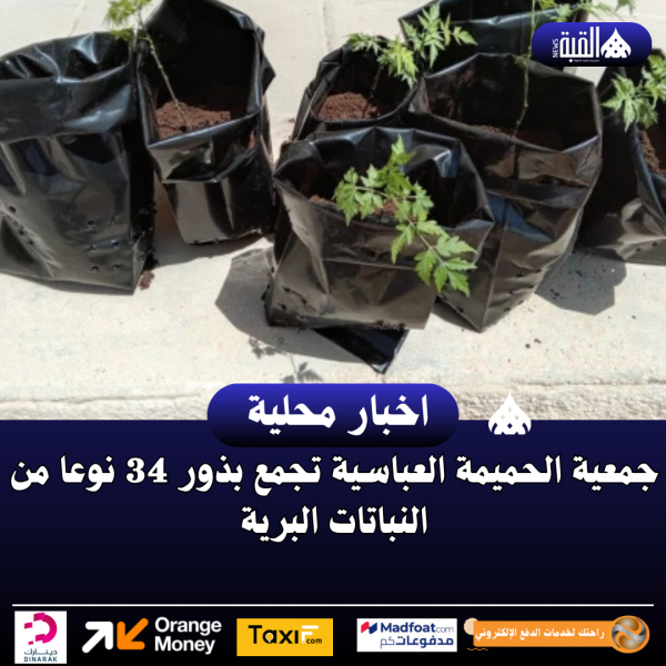 جمعية الحميمة العباسية تجمع بذور 34 نوعا من النباتات البرية