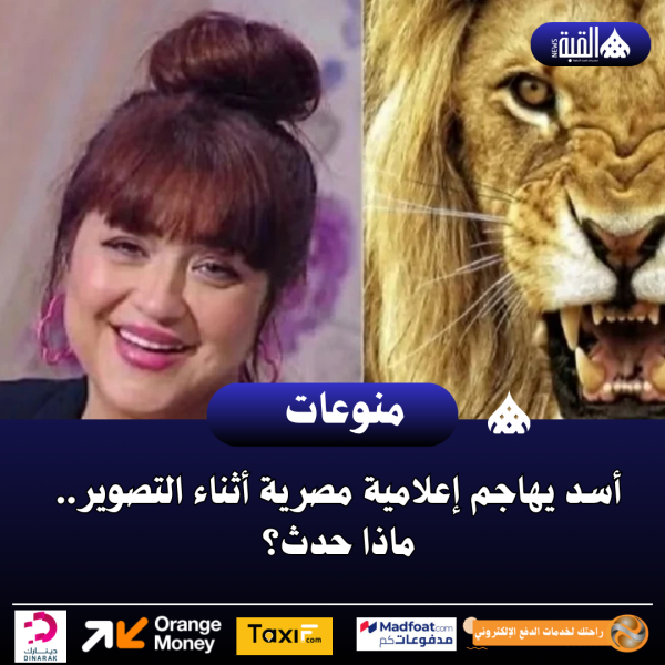 أسد يهاجم إعلامية مصرية أثناء التصوير.. ماذا حدث؟