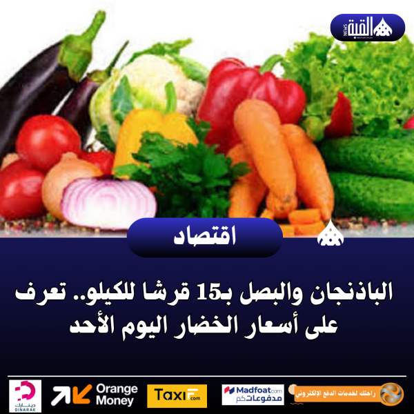 الباذنجان والبصل بـ15 قرشا للكيلو.. تعرف على أسعار الخضار اليوم الأحد