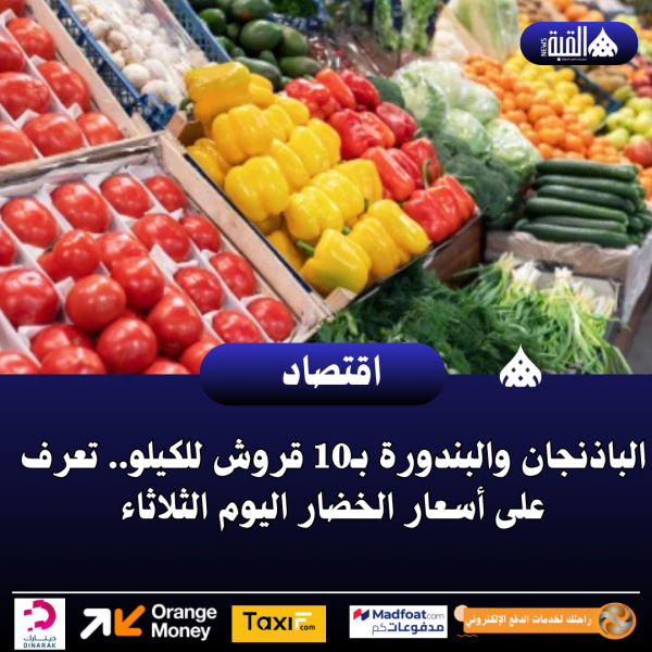 الباذنجان والبندورة بـ10 قروش للكيلو.. تعرف على أسعار الخضار اليوم الثلاثاء