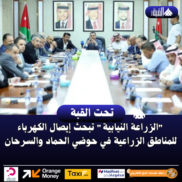 الزراعة النيابية تبحث إيصال الكهرباء للمناطق الزراعية في حوضي الحماد والسرحان