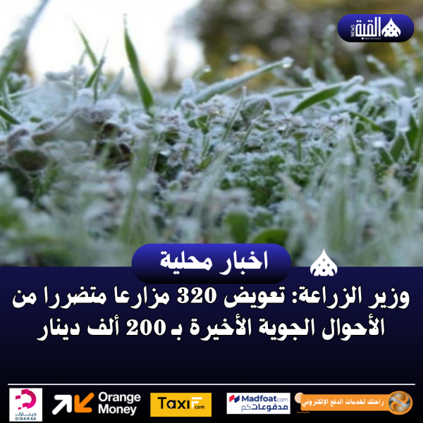 وزير الزراعة: تعويض 320 مزارعا متضررا من الأحوال الجوية الأخيرة بـ 200 ألف دينار