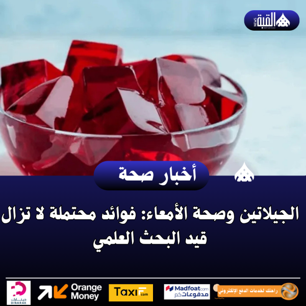 الجيلاتين وصحة الأمعاء: فوائد محتملة لا تزال قيد البحث العلمي