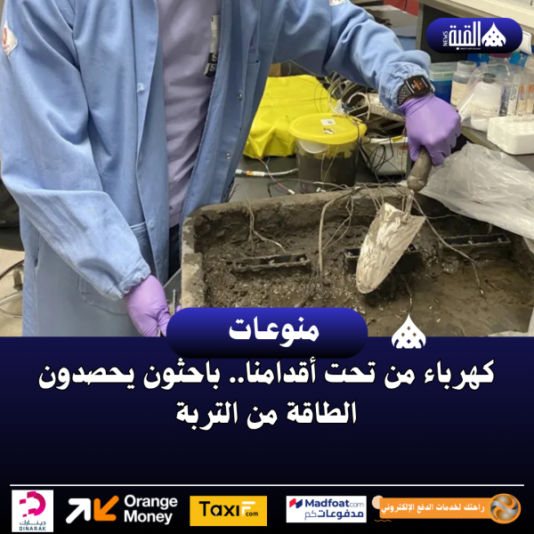 كهرباء من تحت أقدامنا.. باحثون يحصدون الطاقة من التربة