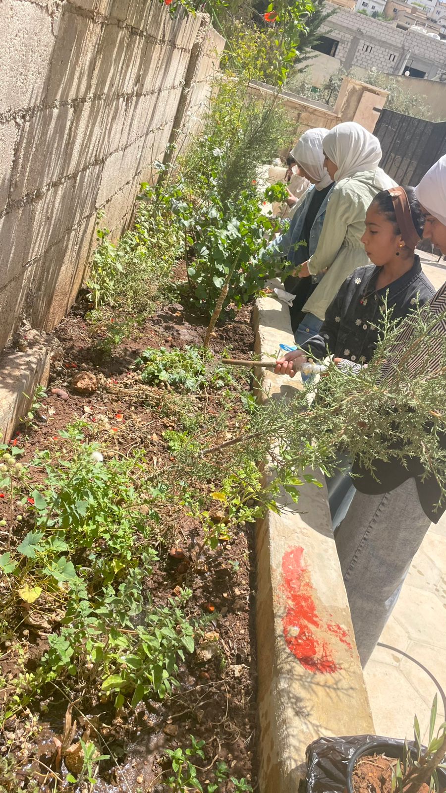 مركز شابات جديتا ينفذ يوماً بيئياً تطوعياً للعناية بحديقة المركز