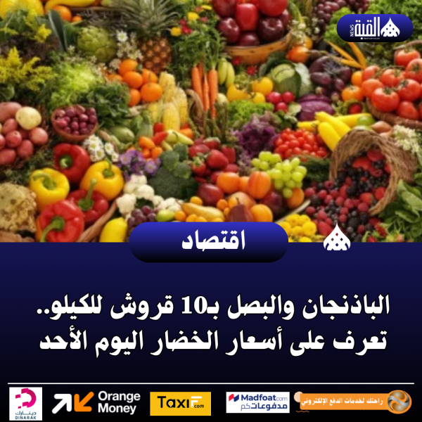 الباذنجان والبصل بـ10 قروش للكيلو.. تعرف على أسعار الخضار اليوم الأحد