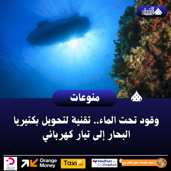 وقود تحت الماء.. تقنية لتحويل بكتيريا البحار إلى تيار كهربائي