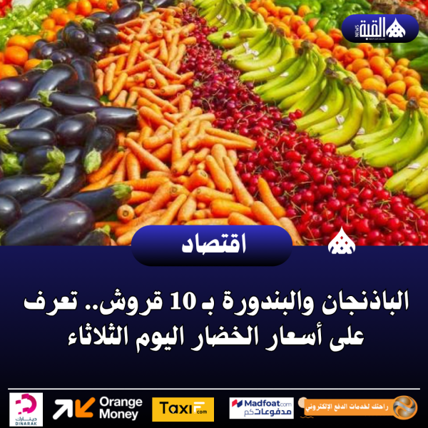 الباذنجان والبندورة بـ 10 قروش.. تعرف على أسعار الخضار اليوم الثلاثاء