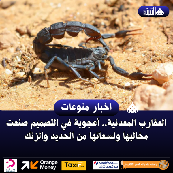 العقارب المعدنية.. أعجوبة في التصميم صنعت مخالبها ولسعاتها من الحديد والزنك