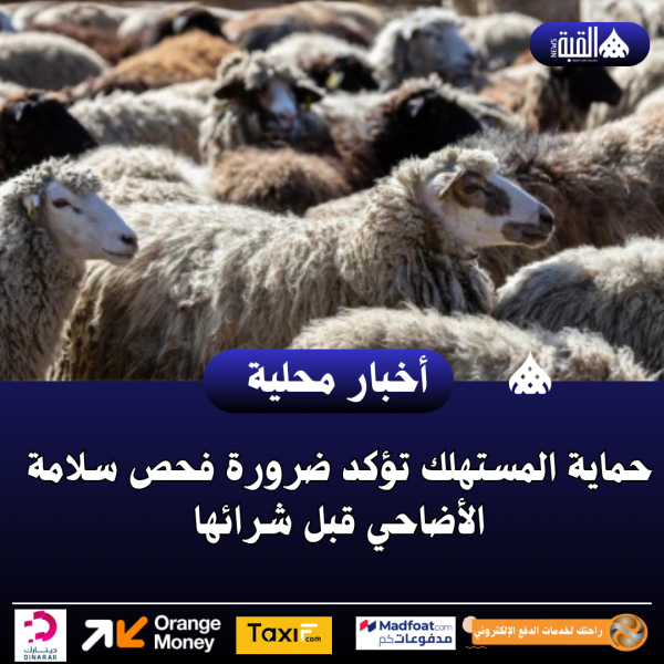 حماية المستهلك تؤكد ضرورة فحص سلامة الأضاحي قبل شرائها