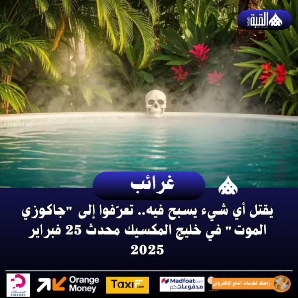 يقتل أي شيء يسبح فيه.. تعرّفوا إلى جاكوزي الموت في خليج المكسيك محدث 25 فبراير 2025