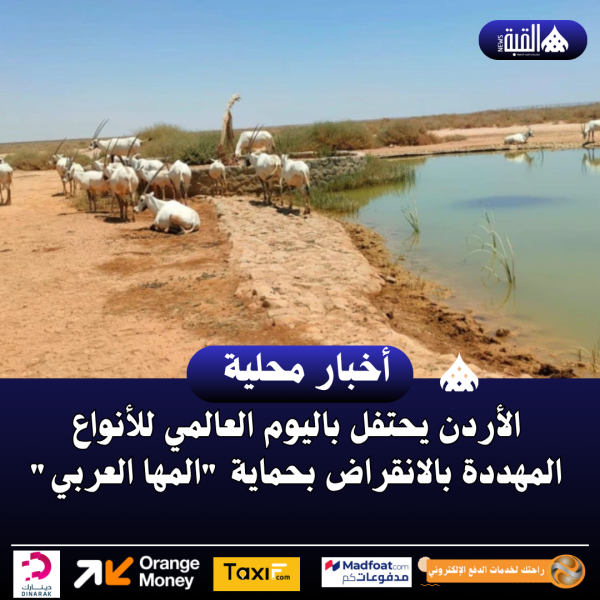 الأردن يحتفل باليوم العالمي للأنواع المهددة بالانقراض بحماية المها العربي