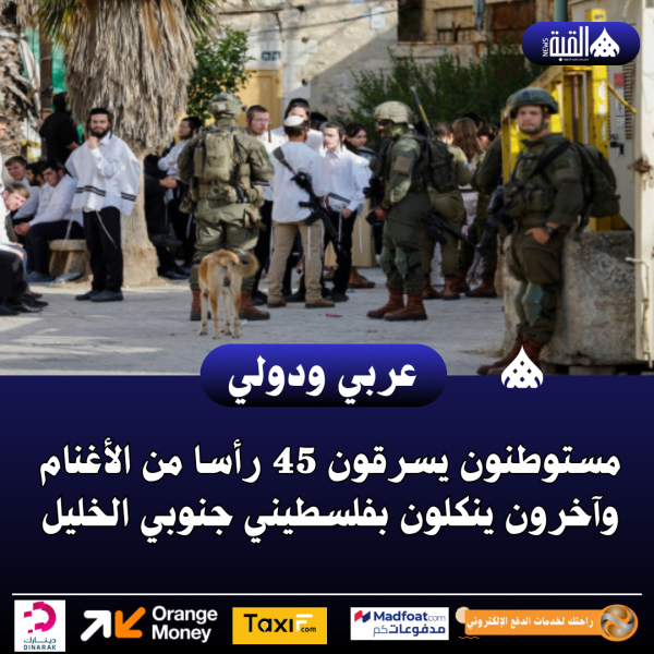 مستوطنون يسرقون 45 رأسا من الأغنام وآخرون ينكلون بفلسطيني جنوبي الخليل