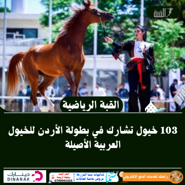 103 خيول تشارك في بطولة الأردن للخيول العربية الأصيلة
