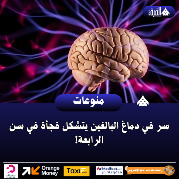 سر في دماغ البالغين يتشكل فجأة في سن الرابعة!